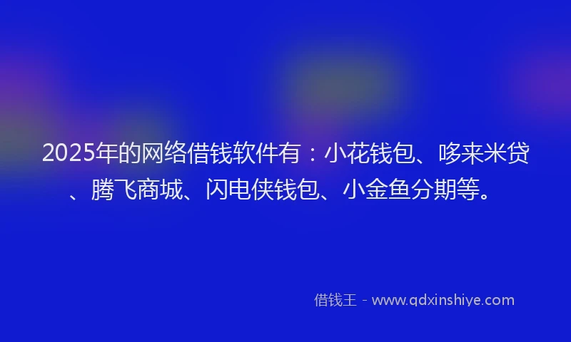 2025年的网络借钱软件有：小花钱包、哆来米贷、腾飞商城、闪电侠钱包、小金鱼分期等。