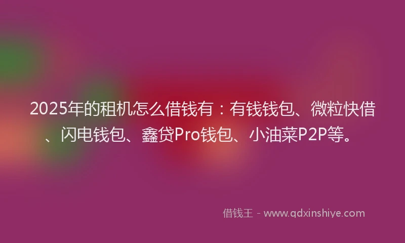 2025年的租机怎么借钱有：有钱钱包、微粒快借、闪电钱包、鑫贷Pro钱包、小油菜P2P等。