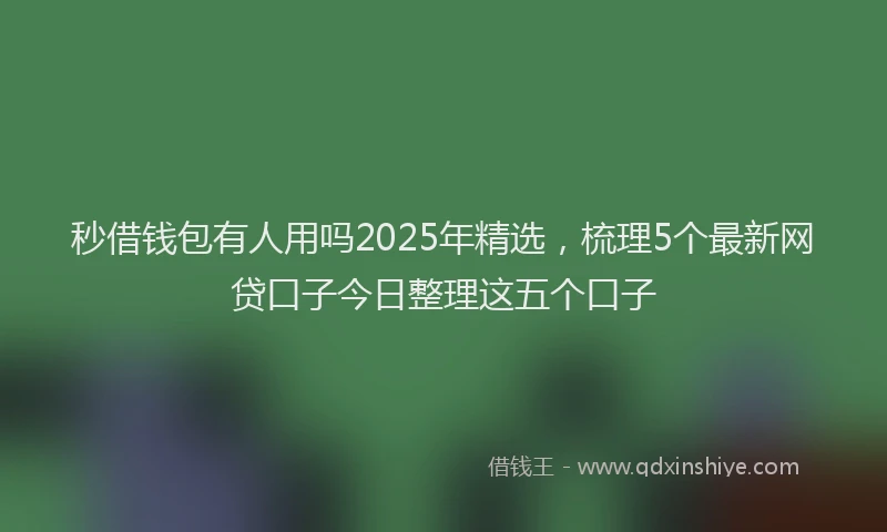 秒借钱包有人用吗2025年精选，梳理5个最新网贷口子今日整理这五个口子