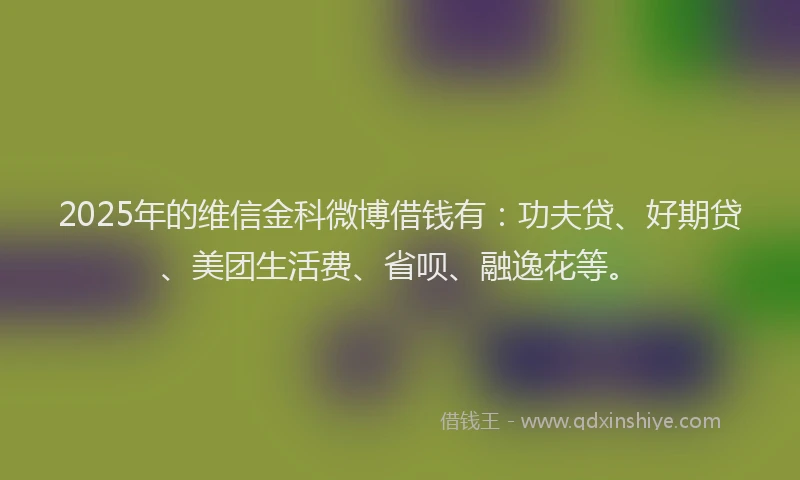 2025年的维信金科微博借钱有：功夫贷、好期贷、美团生活费、省呗、融逸花等。