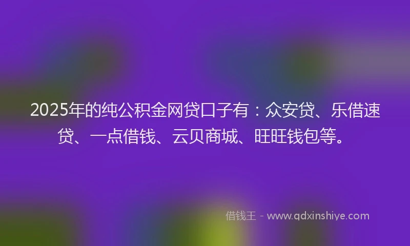 2025年的纯公积金网贷口子有：众安贷、乐借速贷、一点借钱、云贝商城、旺旺钱包等。