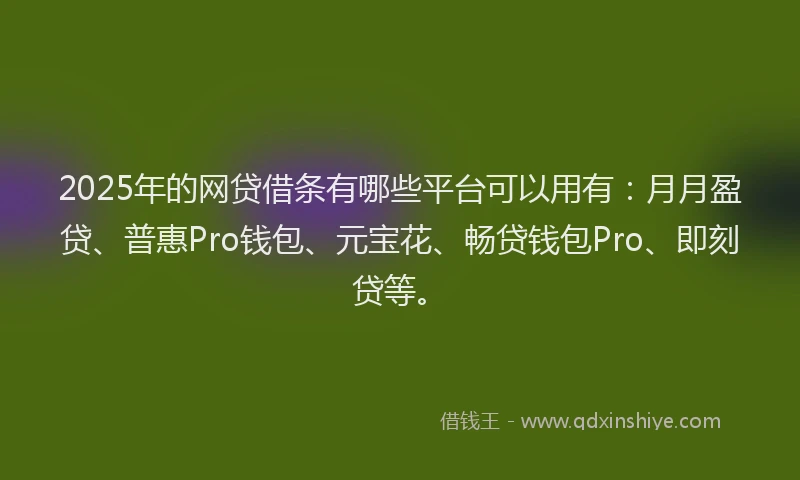 2025年的网贷借条有哪些平台可以用有：月月盈贷、普惠Pro钱包、元宝花、畅贷钱包Pro、即刻贷等。