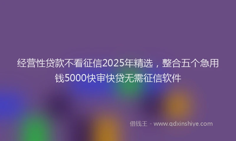 经营性贷款不看征信2025年精选，整合五个急用钱5000快审快贷无需征信软件