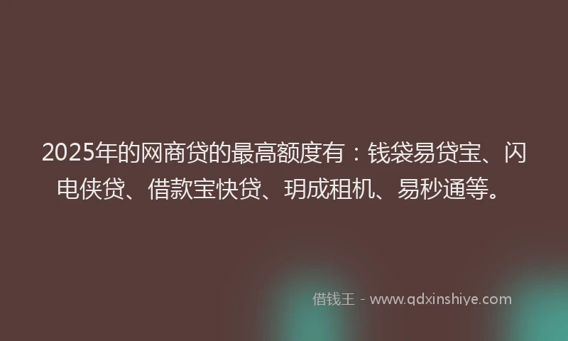 2025年的网商贷的最高额度有：钱袋易贷宝、闪电侠贷、借款宝快贷、玥成租机、易秒通等。