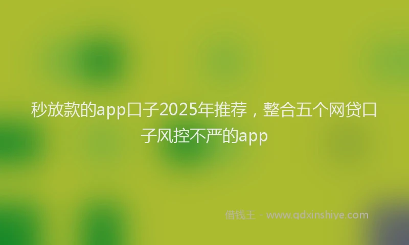 秒放款的app口子2025年推荐，整合五个网贷口子风控不严的app