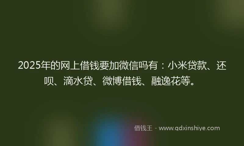 2025年的网上借钱要加微信吗有：小米贷款、还呗、滴水贷、微博借钱、融逸花等。