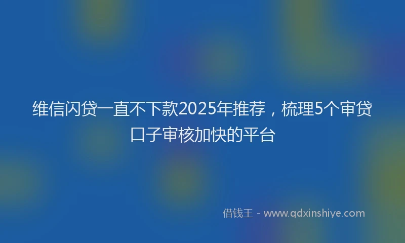 维信闪贷一直不下款2025年推荐，梳理5个审贷口子审核加快的平台