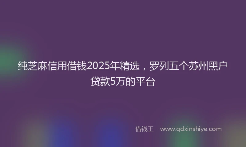 纯芝麻信用借钱2025年精选，罗列五个苏州黑户贷款5万的平台