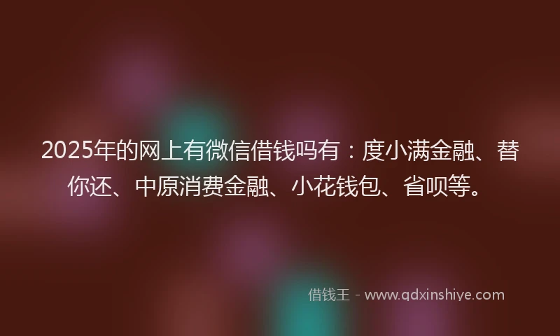 2025年的网上有微信借钱吗有：度小满金融、替你还、中原消费金融、小花钱包、省呗等。