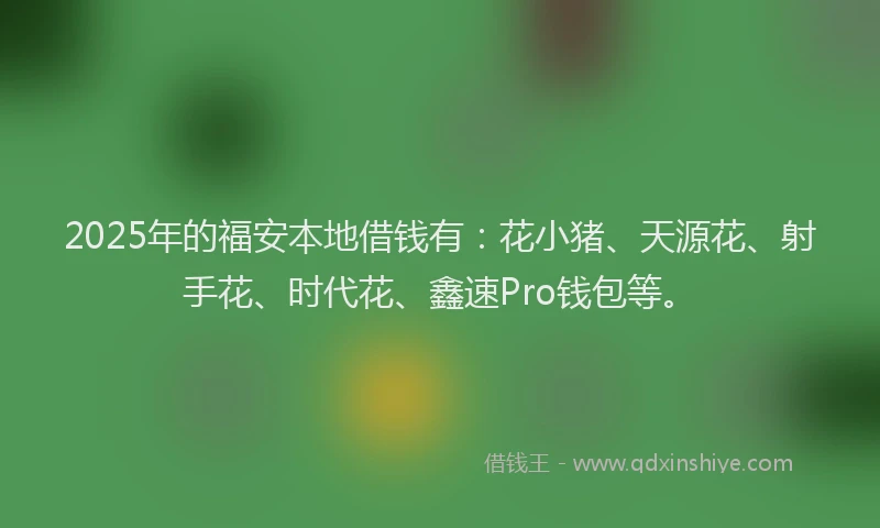 2025年的福安本地借钱有：花小猪、天源花、射手花、时代花、鑫速Pro钱包等。