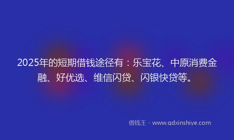 2025年的短期借钱途径有：乐宝花、中原消费金融、好优选、维信闪贷、闪银快贷等。