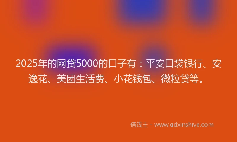 2025年的网贷5000的口子有：平安口袋银行、安逸花、美团生活费、小花钱包、微粒贷等。