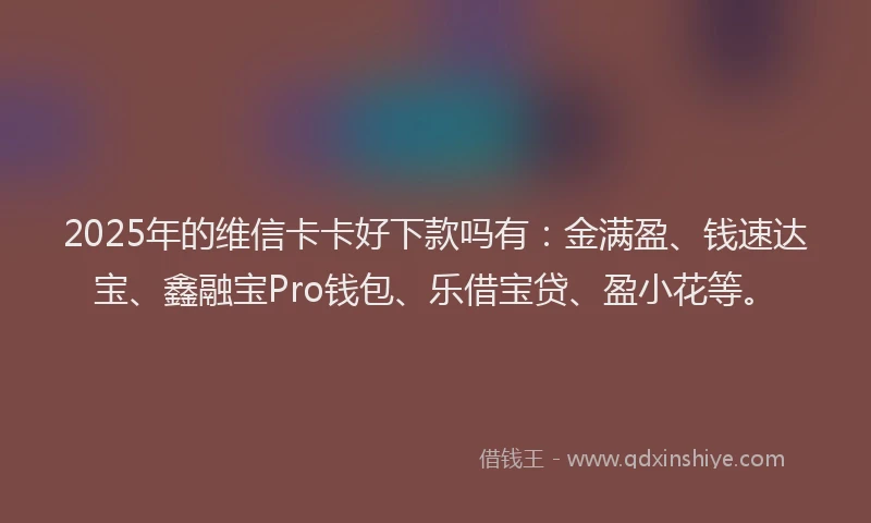 2025年的维信卡卡好下款吗有：金满盈、钱速达宝、鑫融宝Pro钱包、乐借宝贷、盈小花等。