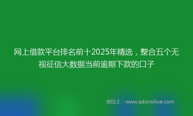 网上借款平台排名前十2025年精选，整合五个无视征信大数据当前逾期下款的口子