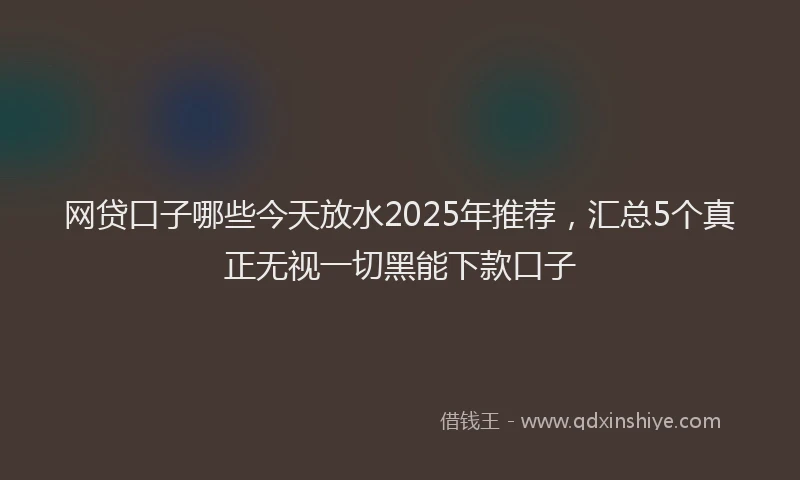 网贷口子哪些今天放水2025年推荐，汇总5个真正无视一切黑能下款口子