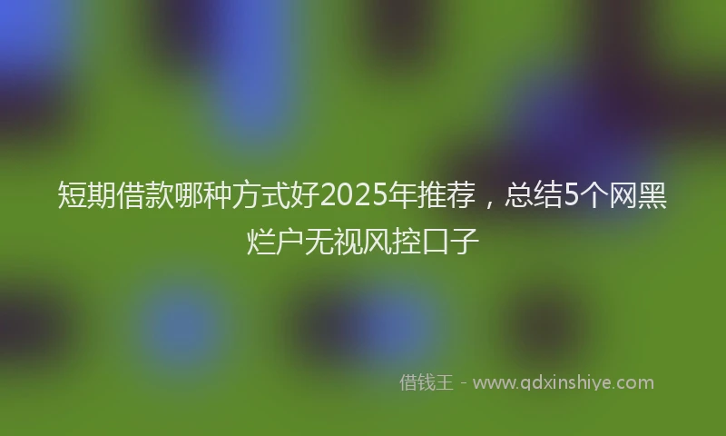 短期借款哪种方式好2025年推荐，总结5个网黑烂户无视风控口子
