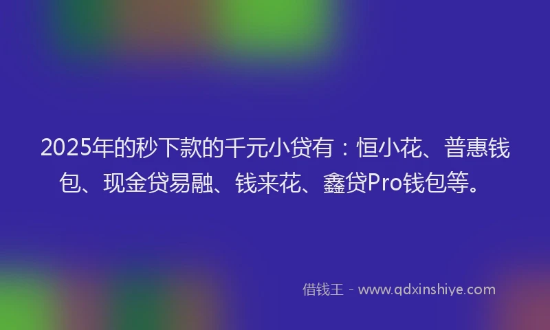2025年的秒下款的千元小贷有：恒小花、普惠钱包、现金贷易融、钱来花、鑫贷Pro钱包等。