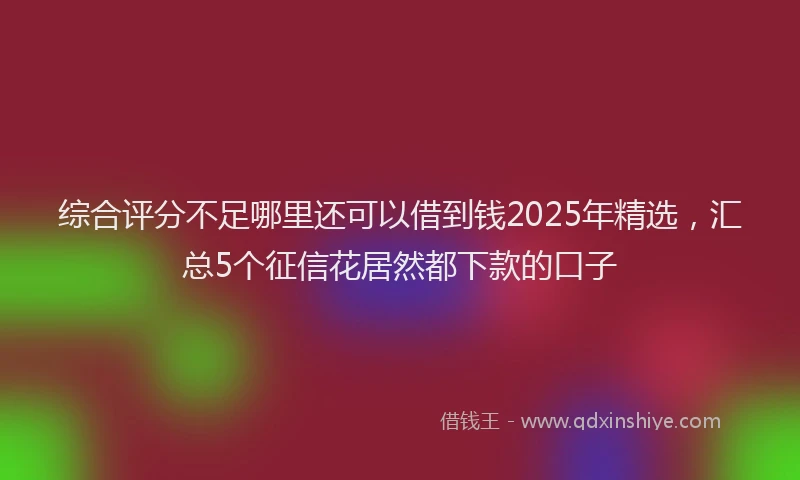 综合评分不足哪里还可以借到钱2025年精选，汇总5个征信花居然都下款的口子