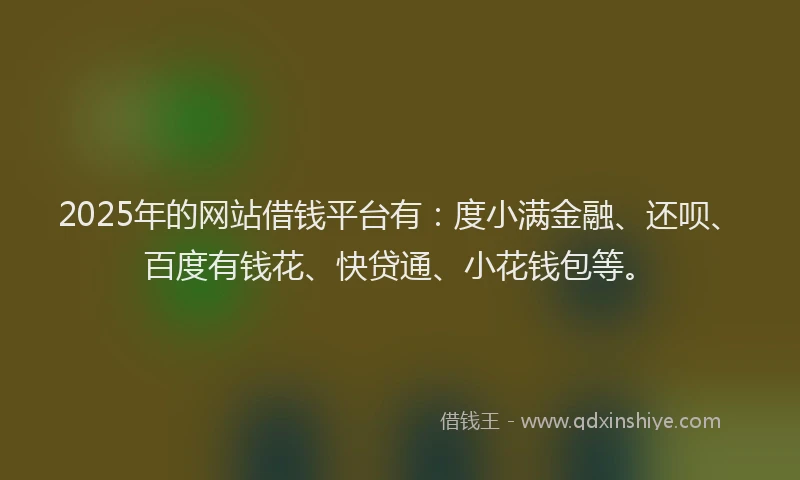 2025年的网站借钱平台有：度小满金融、还呗、百度有钱花、快贷通、小花钱包等。