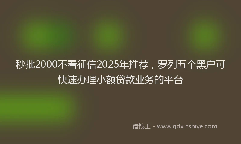 秒批2000不看征信2025年推荐，罗列五个黑户可快速办理小额贷款业务的平台