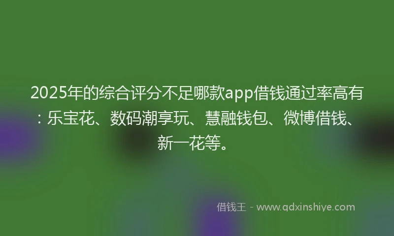 2025年的综合评分不足哪款app借钱通过率高有：乐宝花、数码潮享玩、慧融钱包、微博借钱、新一花等。