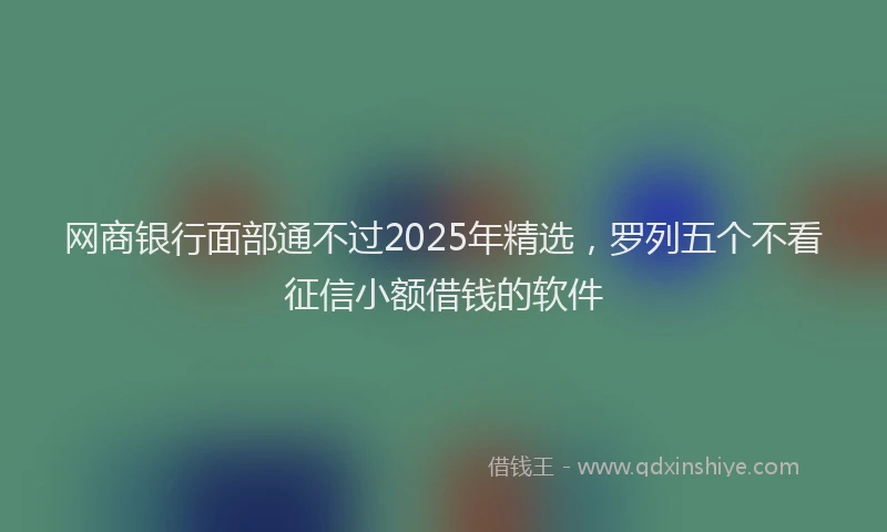 网商银行面部通不过2025年精选，罗列五个不看征信小额借钱的软件