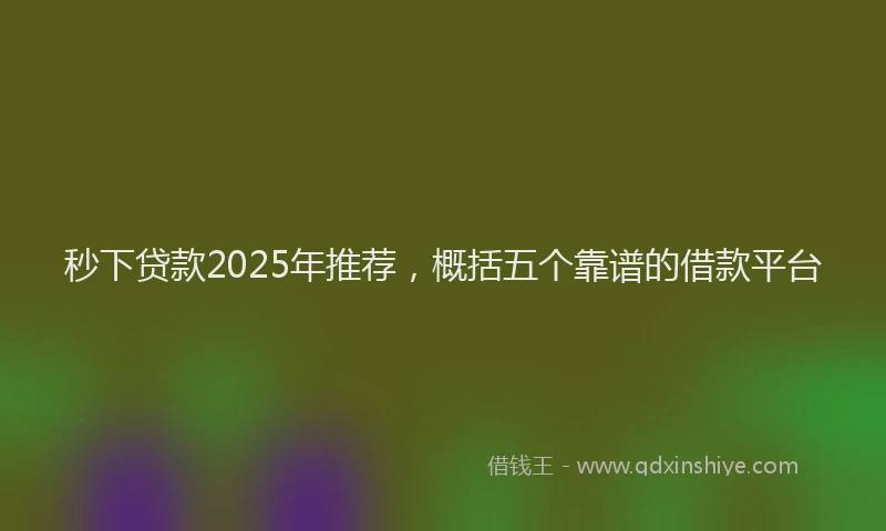 秒下贷款2025年推荐，概括五个靠谱的借款平台