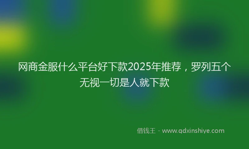 网商金服什么平台好下款2025年推荐，罗列五个无视一切是人就下款