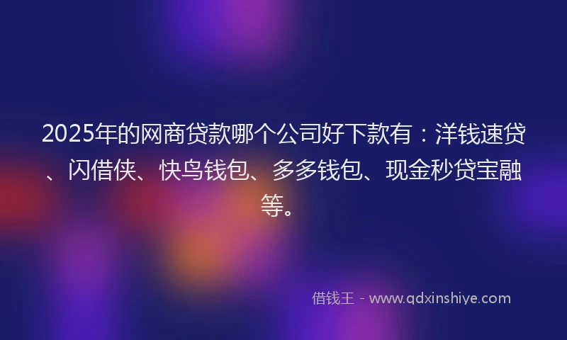 2025年的网商贷款哪个公司好下款有：洋钱速贷、闪借侠、快鸟钱包、多多钱包、现金秒贷宝融等。