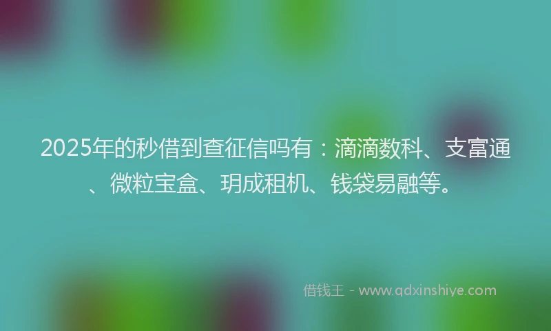 2025年的秒借到查征信吗有：滴滴数科、支富通、微粒宝盒、玥成租机、钱袋易融等。