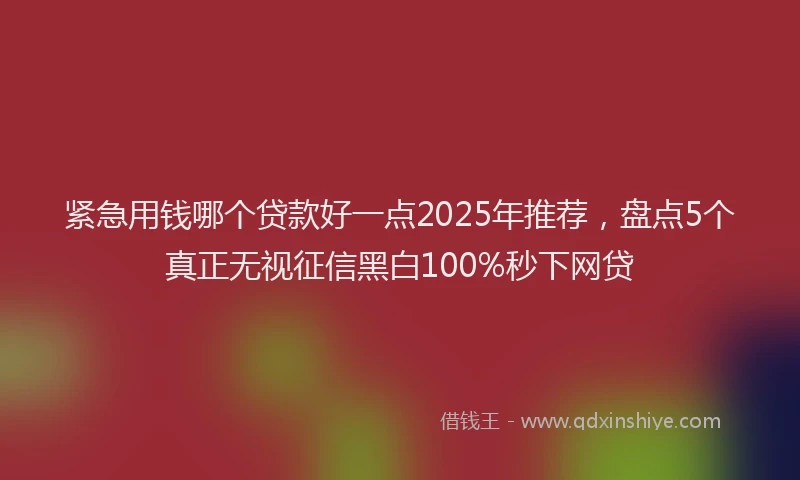 紧急用钱哪个贷款好一点2025年推荐，盘点5个真正无视征信黑白100%秒下网贷