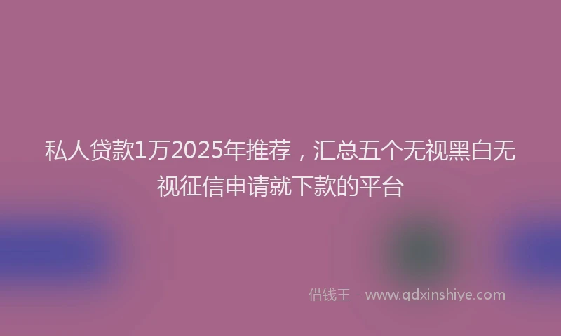 私人贷款1万2025年推荐，汇总五个无视黑白无视征信申请就下款的平台