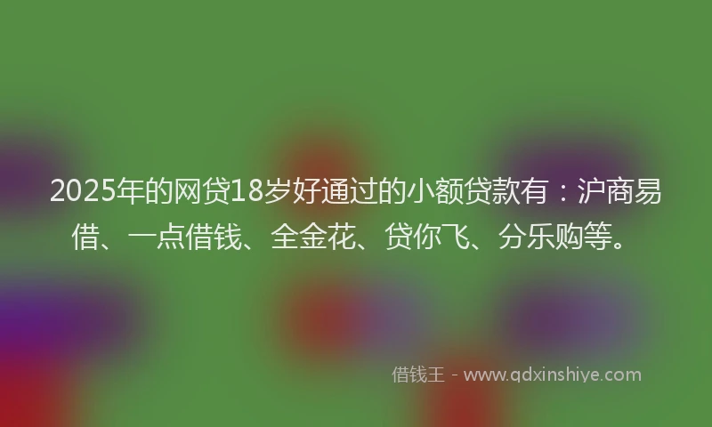 2025年的网贷18岁好通过的小额贷款有：沪商易借、一点借钱、全金花、贷你飞、分乐购等。