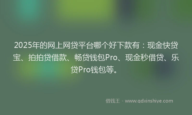 2025年的网上网贷平台哪个好下款有：现金快贷宝、拍拍贷借款、畅贷钱包Pro、现金秒借贷、乐贷Pro钱包等。
