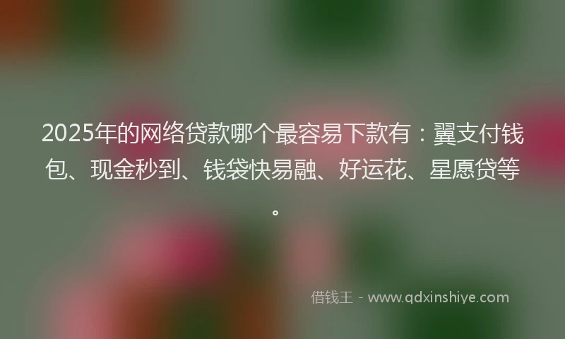 2025年的网络贷款哪个最容易下款有:翼支付钱包、现金秒到、钱袋快易融、好运花、星愿贷等。