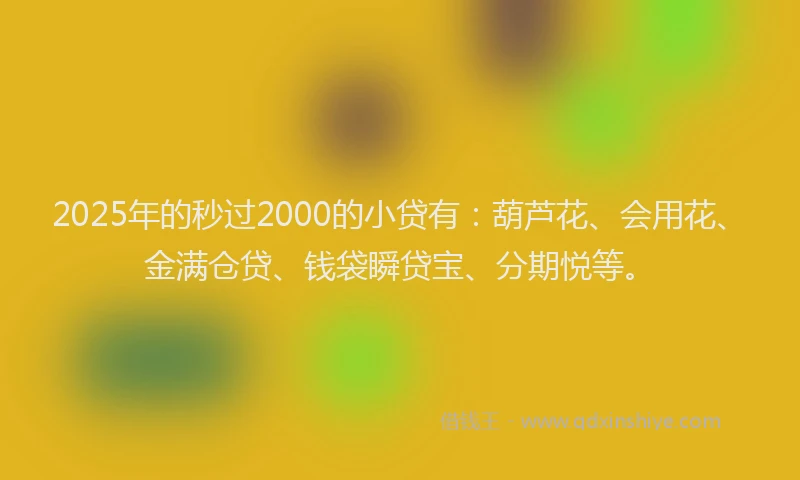 2025年的秒过2000的小贷有：葫芦花、会用花、金满仓贷、钱袋瞬贷宝、分期悦等。