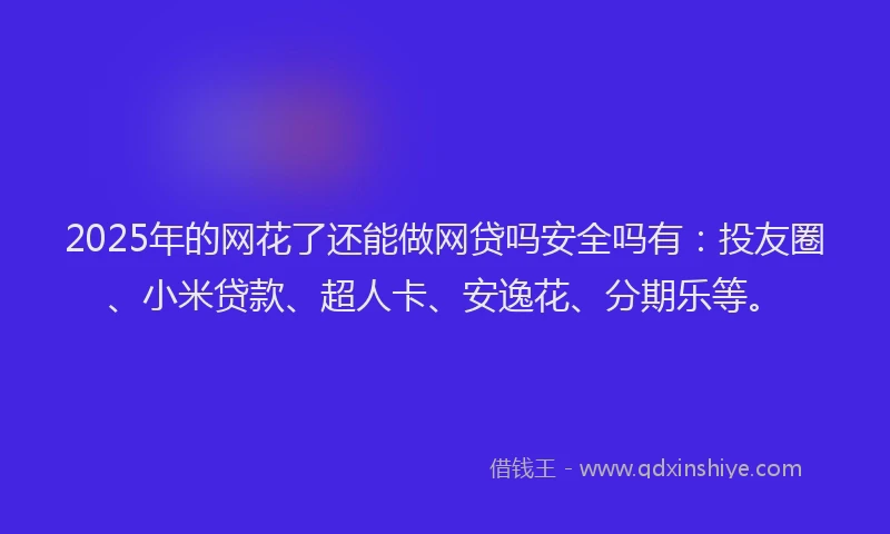 2025年的网花了还能做网贷吗安全吗有：投友圈、小米贷款、超人卡、安逸花、分期乐等。