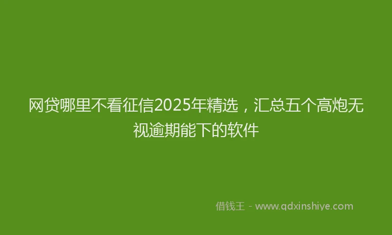 网贷哪里不看征信2025年精选，汇总五个高炮无视逾期能下的软件