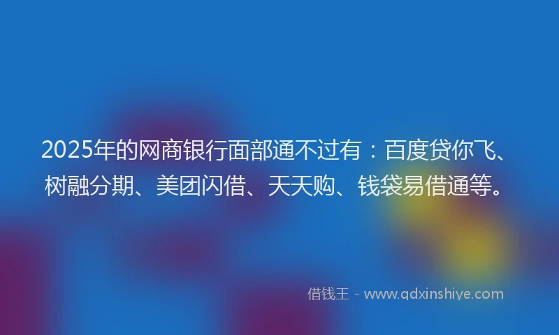 2025年的网商银行面部通不过有：百度贷你飞、树融分期、美团闪借、天天购、钱袋易借通等。