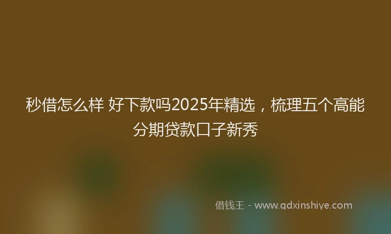 秒借怎么样 好下款吗2025年精选，梳理五个高能分期贷款口子新秀