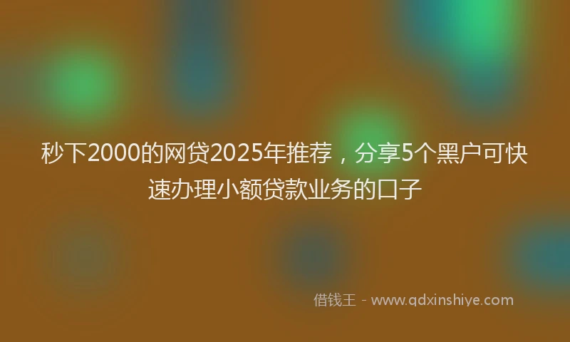 秒下2000的网贷2025年推荐，分享5个黑户可快速办理小额贷款业务的口子