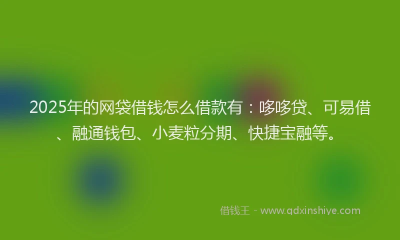 2025年的网袋借钱怎么借款有:哆哆贷、可易借、融通钱包、小麦粒分期、快捷宝融等。