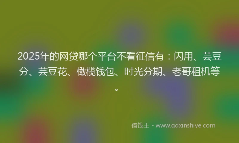 2025年的网贷哪个平台不看征信有：闪用、芸豆分、芸豆花、橄榄钱包、时光分期、老哥租机等。