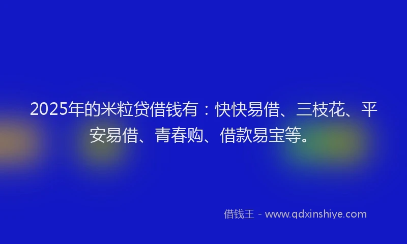 2025年的米粒贷借钱有：快快易借、三枝花、平安易借、青春购、借款易宝等。