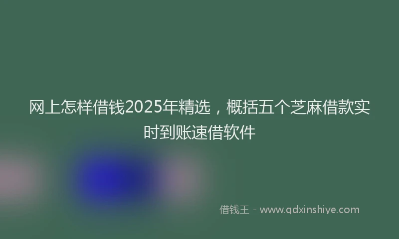 网上怎样借钱2025年精选，概括五个芝麻借款实时到账速借软件