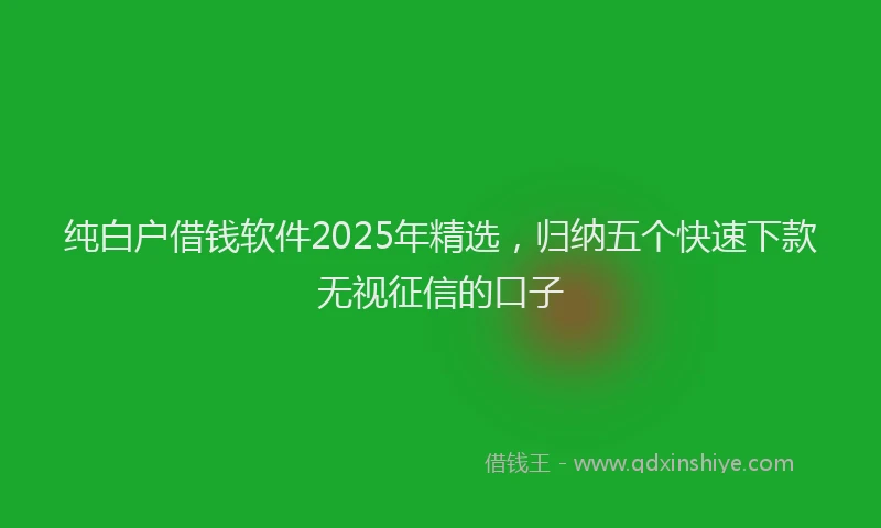 纯白户借钱软件2025年精选，归纳五个快速下款无视征信的口子