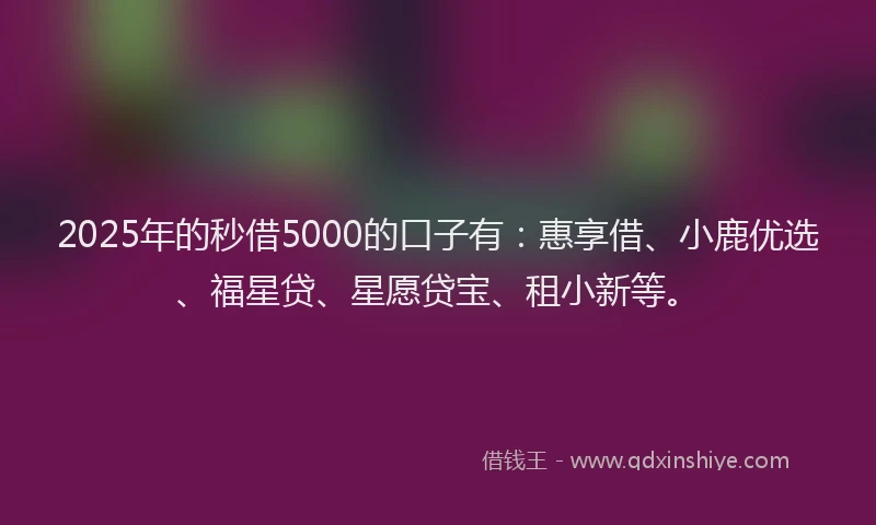 2025年的秒借5000的口子有：惠享借、小鹿优选、福星贷、星愿贷宝、租小新等。