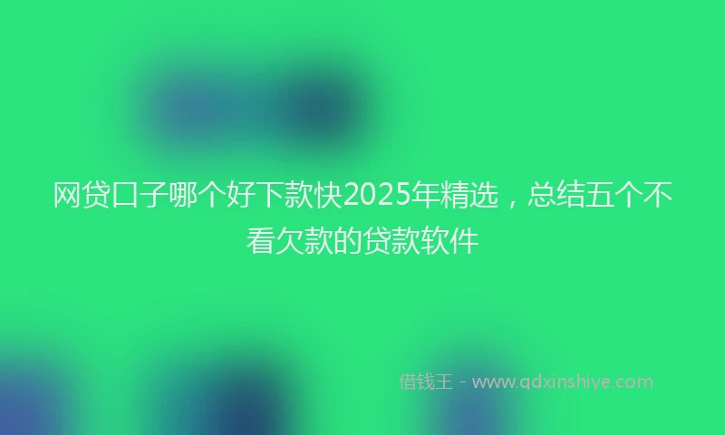 网贷口子哪个好下款快2025年精选，总结五个不看欠款的贷款软件