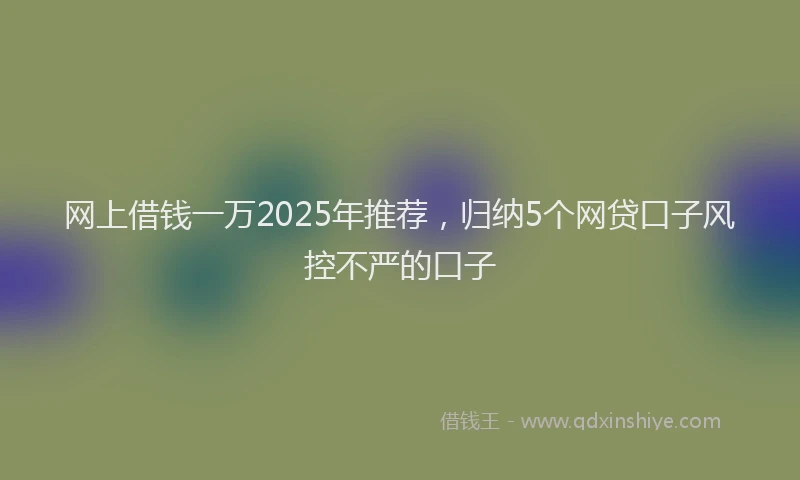 网上借钱一万2025年推荐，归纳5个网贷口子风控不严的口子