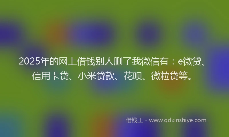 2025年的网上借钱别人删了我微信有：e微贷、信用卡贷、小米贷款、花呗、微粒贷等。